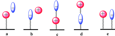 Graphical abstract: New surface-confined ionic liquid stationary phases with enhanced chromatographic selectivity and stability by co-immobilization of polymerizable anion and cation pairs