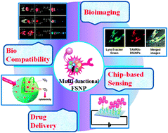Graphical abstract: Fluorescent dye-doped silica nanoparticles: new tools for bioapplications