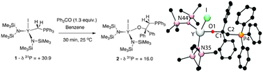 Graphical abstract: Wittig-olefination via an yttrium-coordinated betaine