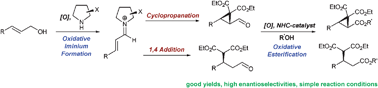 Graphical abstract: Asymmetric oxidative Lewis base catalysis—unifying iminium and enamine organocatalysis with oxidations