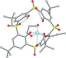 Graphical abstract: Cellular uptake of a fluorescent vanadyl sulfonylcalix[4]arene