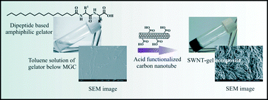 Graphical abstract: The striking influence of SWNT–COOH on self-assembled gelation