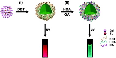 Graphical abstract: A facile reduction of Eu3+ to Eu2+ in gadolinium monosulfide nanoparticles using a mixed solvent of oleic acid/hexadecylamine