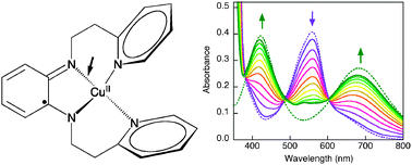 Graphical abstract: Copper complexes of a novel non-innocent quadridentate ligand