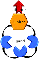 Graphical abstract: Unimolecular ligand–initiator dual functional systems (ULIS) for low copper ATRP of vinyl monomers including acrylic/methacrylic acids