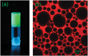 Graphical abstract: High internal phase emulsion gels (HIPE-gels) from polymer dispersions reinforced with quadruple hydrogen bond functionality