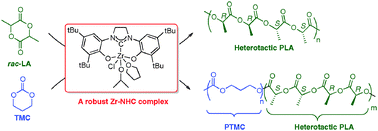 Graphical abstract: A robust zirconium N-heterocyclic carbene complex for the living and highly stereoselective ring-opening polymerization of rac-lactide