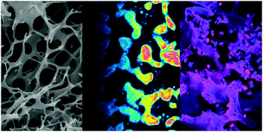 Graphical abstract: Engineered 3D microporous gelatin scaffolds to study cell migration