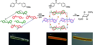 Graphical abstract: Cascade reactions in crystals through cation–π-controlled reorientation on exposure to HCl gas