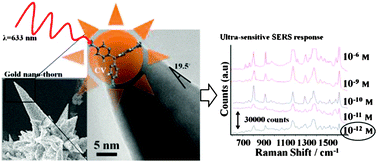 Graphical abstract: Gold nanothorns–macroporous silicon hybrid structure: a simple and ultrasensitive platform for SERS