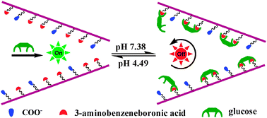 Graphical abstract: pH gated glucose responsive biomimetic single nanochannels