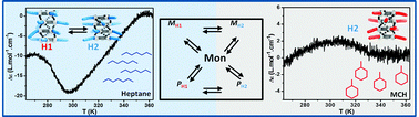 Graphical abstract: A stereoselectively deuterated supramolecular motif to probe the role of solvent during self-assembly processes