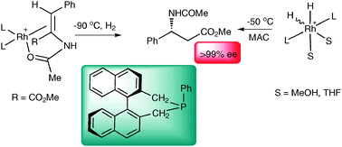 Graphical abstract: Captured at last: a catalyst–substrate adduct and a Rh-dihydride solvate in the asymmetric hydrogenation by a Rh-monophosphine catalyst