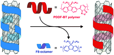 Graphical abstract: Influence of molecular weight on selective oligomer-assisted dispersion of single-walled carbon nanotubes and subsequent polymer exchange