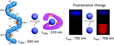 Graphical abstract: α-Bridged BODIPY oligomers with switchable near-IR photoproperties by external-stimuli-induced foldamer formation and disruption