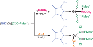 Graphical abstract: Phosphaalkenyl germylenes and their gold, tungsten and molybdenum complexes