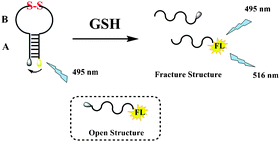 Graphical abstract: A disulfide bound-molecular beacon as a fluorescent probe for the detection of reduced glutathione and its application in cells