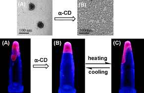 Graphical abstract: Cyclodextrin modified quantum dots with tunable liquid-like behaviour
