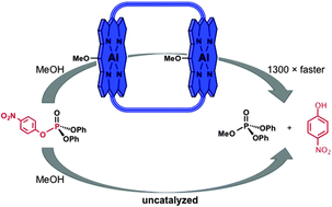 Graphical abstract: Enhanced catalytic decomposition of a phosphate triester by modularly accessible bimetallic porphyrin dyads and dimers