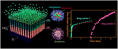 Graphical abstract: A multi-drug delivery system with sequential release using titania nanotube arrays