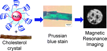 Graphical abstract: Synthesis of β-cyclodextrin conjugated superparamagnetic iron oxide nanoparticles for selective binding and detection of cholesterol crystals