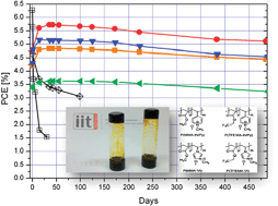 Graphical abstract: Highly stable gel electrolytes for dye solar cells based on chemically engineered polymethacrylic hosts