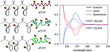 Graphical abstract: Induced circular dichroism of stereoregular vinyl polymers