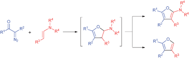 Graphical abstract: Synthesis of 2-aminofurans and 2-unsubstituted furansviacarbenoid-mediated [3 + 2] cycloaddition