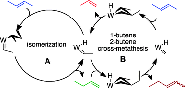 Graphical abstract: High selectivity production of propylene from 2-butene: non-degenerate pathways to convert symmetric olefins via olefin metathesis