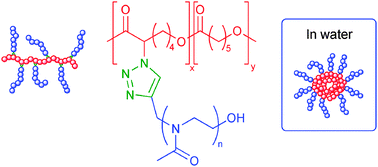 Graphical abstract: Synthesis and evaluation of triazole-linked poly(ε-caprolactone)-graft-poly(2-methyl-2-oxazoline) copolymers as potential drug carriers