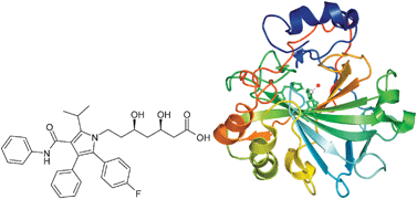 Graphical abstract: Serendipitous fragment-based drug discovery: ketogenic diet metabolites and statins effectively inhibit several carbonic anhydrases