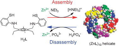Graphical abstract: Assembly and disassembly of a Zn10 high-nuclearity circular helicate