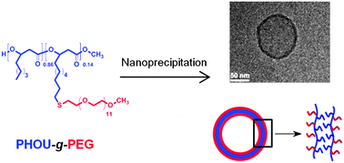 Graphical abstract: Poly(3-hydroxyalkanoate)-derived amphiphilic graft copolymers for the design of polymersomes