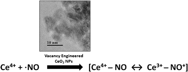 Graphical abstract: Cerium oxide nanoparticles scavenge nitric oxide radical (˙NO)