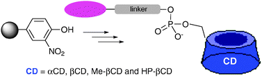 Graphical abstract: A novel synthetic strategy for monosubstituted cyclodextrin derivatives