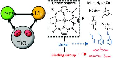 Graphical abstract: Porphyrins for dye-sensitised solar cells: new insights into efficiency-determining electron transfer steps