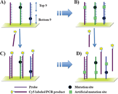 Graphical abstract: HPAI 9G DNAChip: discrimination of highly pathogenic influenza virus genes