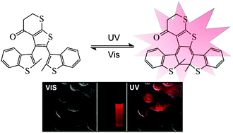 Graphical abstract: Photoswitchable fluorescent diarylethene in a turn-on mode for live cell imaging