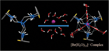 Graphical abstract: Self-assembly of ordered water tetramers in an encapsulated [Br(H2O)12]− complex