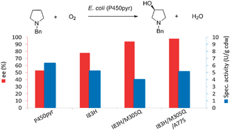 Graphical abstract: Evolving P450pyr hydroxylase for highly enantioselective hydroxylation at non-activated carbon atom