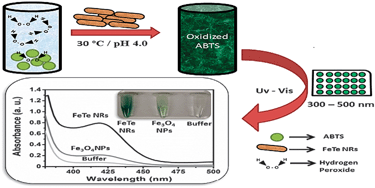 Graphical abstract: Synthesis of enzyme mimics of iron telluride nanorods for the detection of glucose