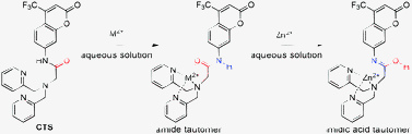 Graphical abstract: Coumarin-derived transformable fluorescent sensor for Zn2+