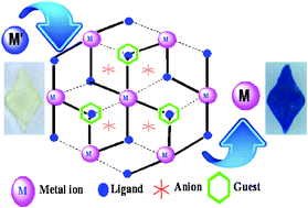 Graphical abstract: Post-synthetic modification of isomorphic coordination layers: exchange dynamics of metal ions in a single crystal to single crystal fashion