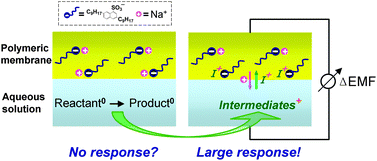 Graphical abstract: Reactive intermediates-induced potential responses of a polymeric membrane electrode for ultrasensitive potentiometric biosensing