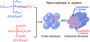 Graphical abstract: Nano-biphasic ionic liquid systems composed of hydrophobic phosphonium salts and a hydrophilic ammonium salt