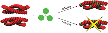 Graphical abstract: Solvent-dependent amplification of chirality in assemblies of porphyrin trimers based on benzene tricarboxamide