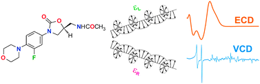 Graphical abstract: Distinguishing between polymorphic forms of linezolid by solid-phase electronic and vibrational circular dichroism