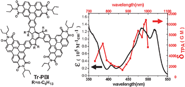 Graphical abstract: Fusing three perylenebisimide branches and a truxene core into a star-shaped chromophore with strong two-photon excited fluorescence and high photostability