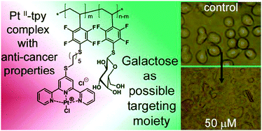 Graphical abstract: Synthesis of a glycopolymeric PtII carrier and its induction of apoptosis in resistant cancer cells