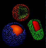 Graphical abstract: Monodisperse inorganic supraparticles: formation mechanism, properties and applications